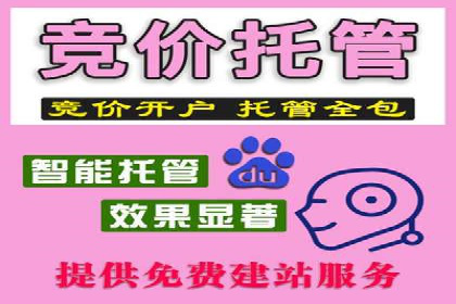 汽车行业SEM网络推广成功案例
